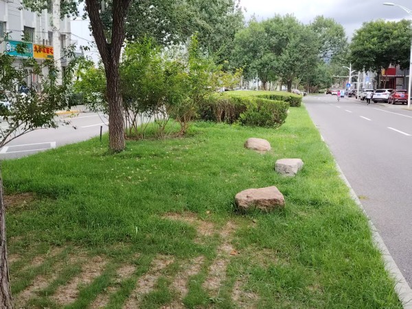 關(guān)于開展2025年北京延慶“花園城市”設(shè)計競賽的通知