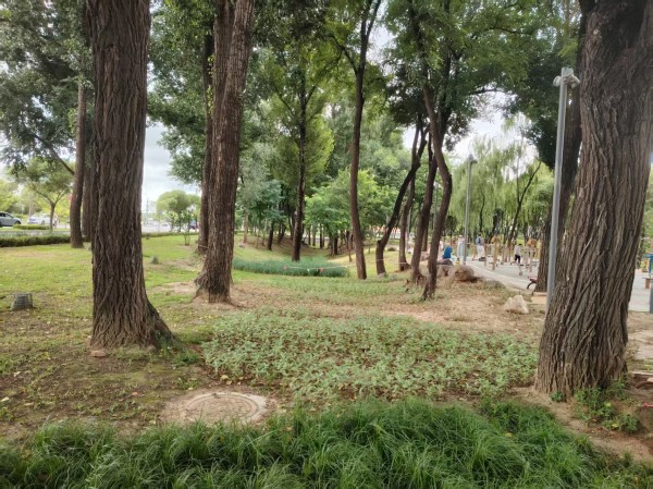 關(guān)于開展2025年北京延慶“花園城市”設(shè)計競賽的通知