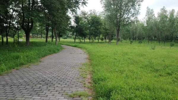 關(guān)于開展2025年北京延慶“花園城市”設(shè)計競賽的通知