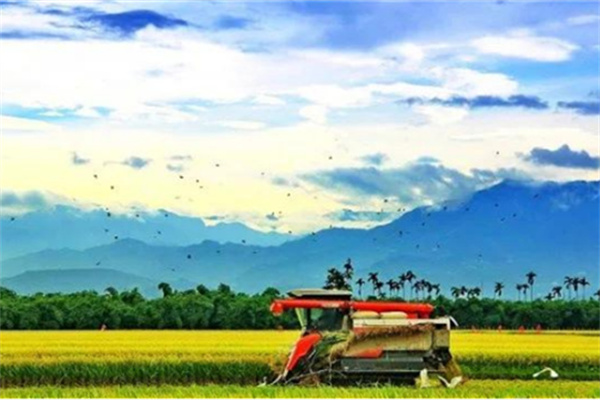 嘉義縣大林鎮：諧音梗不扣錢 反成流量密碼