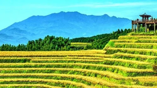 中華傳統(tǒng)農(nóng)耕蘊(yùn)含哪些低碳智慧？