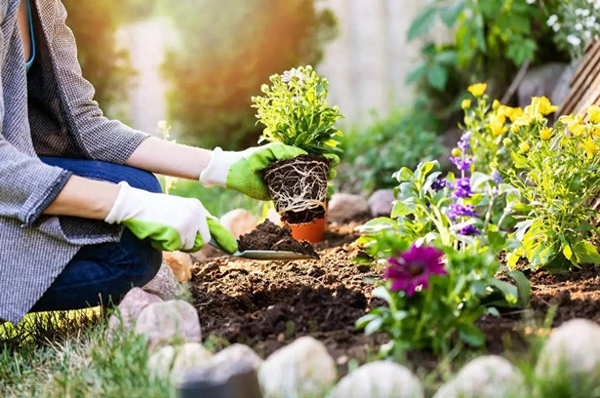 北京全市將推行三級園藝師制度